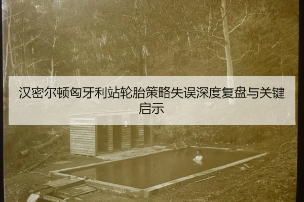 han-mi-er-dun-xiong-ya-li-zhan-lun-tai-ce-lve-shi-wu-shen-du-fu-pan-yu-guan-jian-qi-shi-2-762.jpg