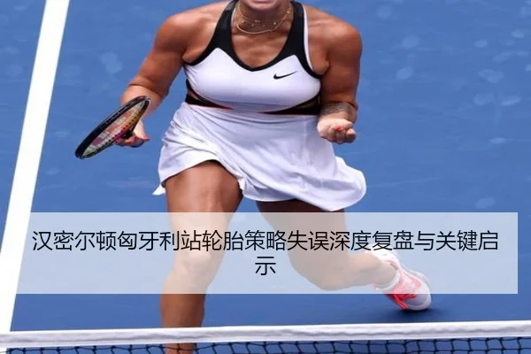 han-mi-er-dun-xiong-ya-li-zhan-lun-tai-ce-lve-shi-wu-shen-du-fu-pan-yu-guan-jian-qi-shi-3-289.jpg