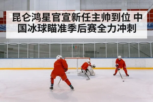 ice hockey rink